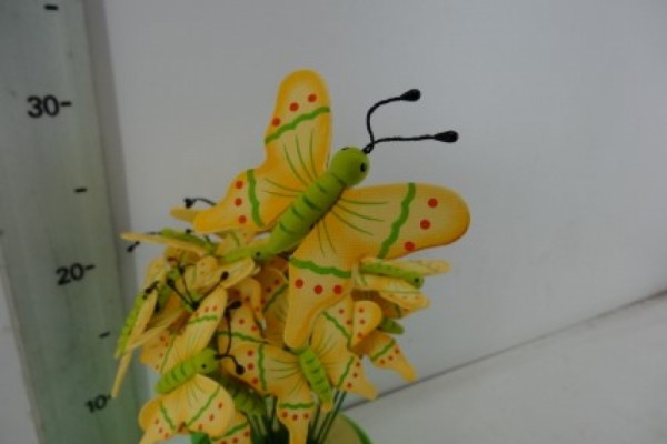 Schmetterling gelb